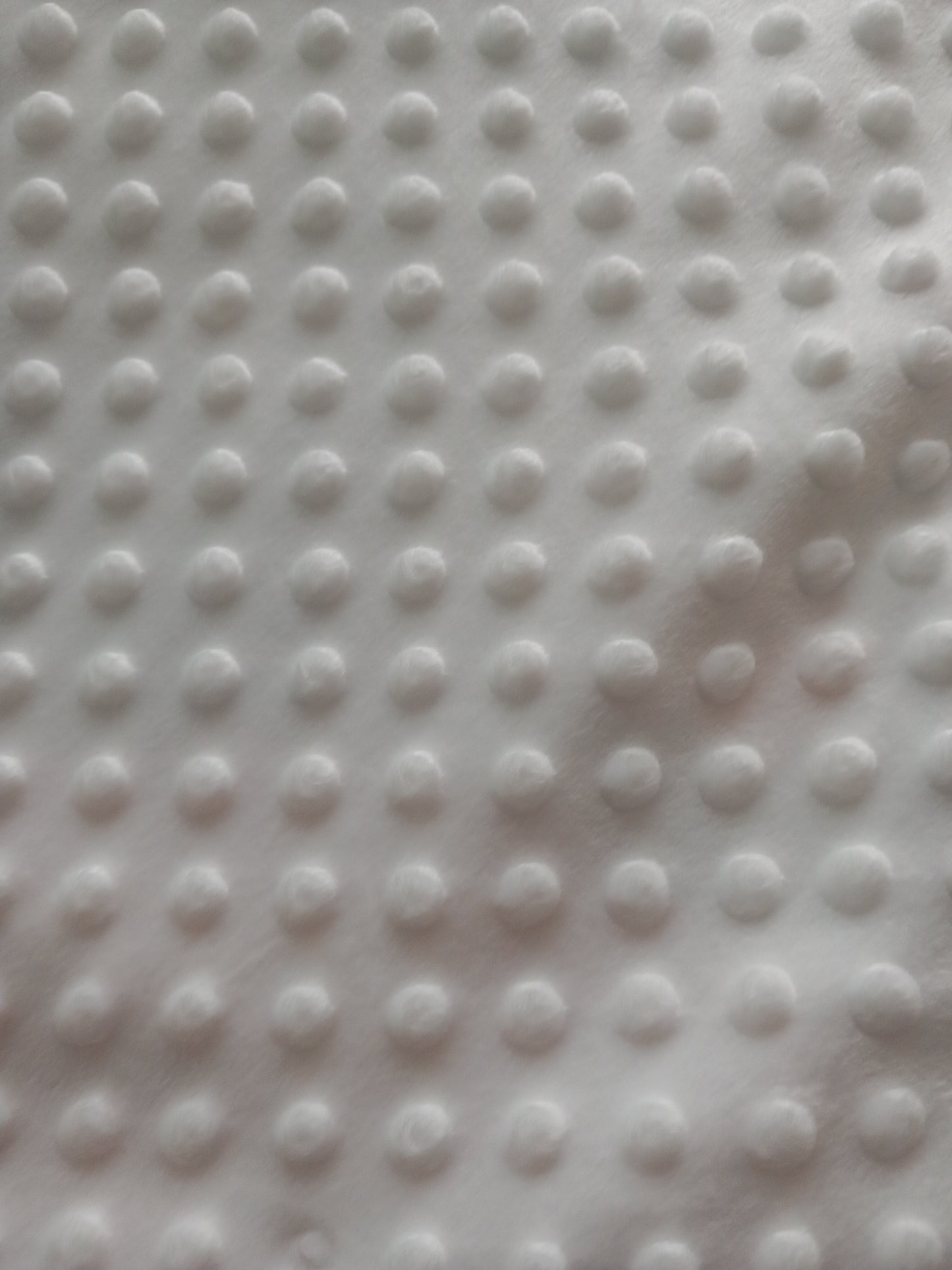 Couverture lion 🦁